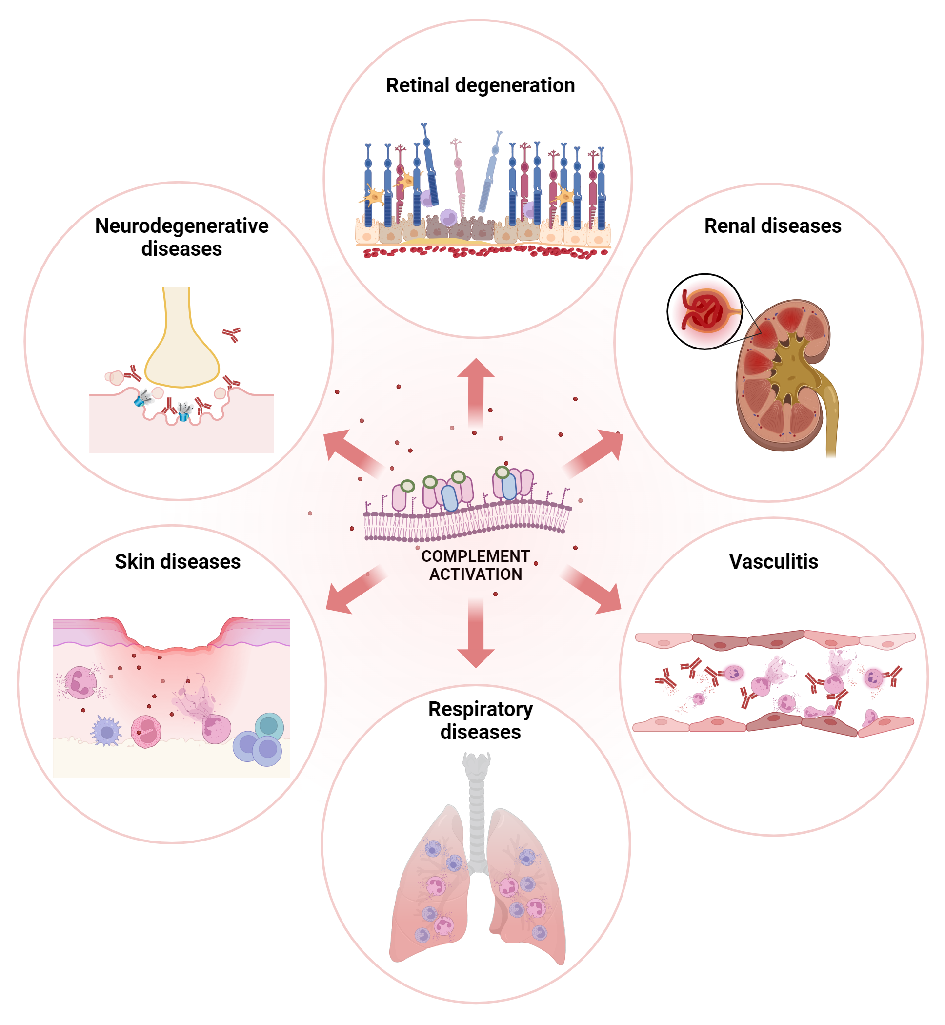 Diseases
