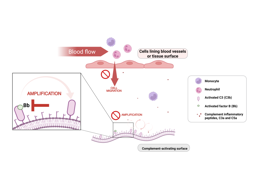 treatment_diagram